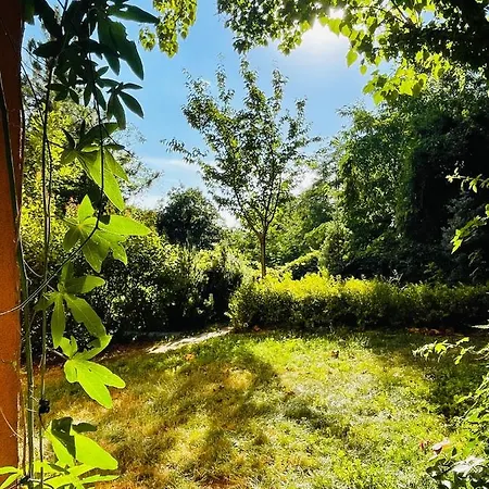 アパート 70m2 Romantic Living In The Old Town With Garden ブラチスラヴァ